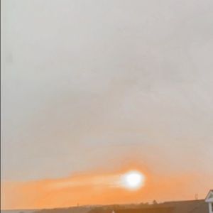 Meet your Posher, Ella